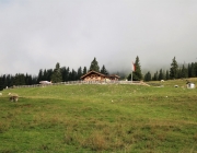 Hochfeldern Alm – Almmesse und Almfest 2017