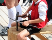 Hochfeldern Alm – Almmesse und Almfest 2017
