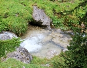 hochfeldernalpe-baubeginn (106 von 232)