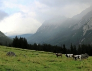 hochfeldernalpe-baubeginn (126 von 232)