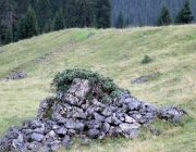 hochfeldernalpe-baubeginn (143 von 232)