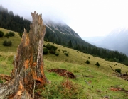 hochfeldernalpe-baubeginn (151 von 232)