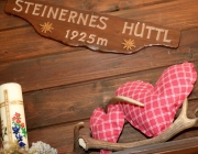 hochfeldernalpe-baubeginn (16 von 232)