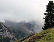 hochfeldernalpe-baubeginn (161 von 232)
