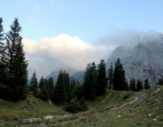 hochfeldernalpe-baubeginn (183 von 232)