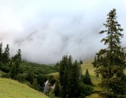 hochfeldernalpe-baubeginn (192 von 232)