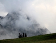 hochfeldernalpe-baubeginn (195 von 232)