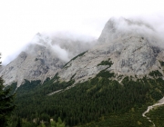 hochfeldernalpe-baubeginn (36 von 232)