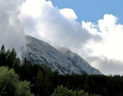 hochfeldernalpe-baubeginn (84 von 232)