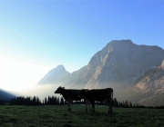 Ein Tag beim Hüttenteam auf der Hochfeldern Alm