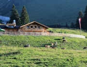 Ein Tag beim Hüttenteam auf der Hochfeldern Alm