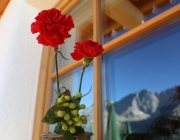 Ein Tag beim Hüttenteam auf der Hochfeldern Alm