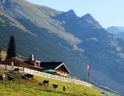 Ein Tag beim Hüttenteam auf der Hochfeldern Alm