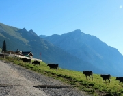 Ein Tag beim Hüttenteam auf der Hochfeldern Alm