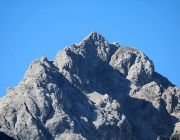 Ein Tag beim Hüttenteam auf der Hochfeldern Alm