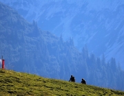 Ein Tag beim Hüttenteam auf der Hochfeldern Alm