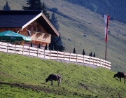 Ein Tag beim Hüttenteam auf der Hochfeldern Alm