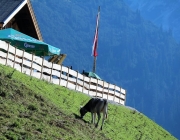 Ein Tag beim Hüttenteam auf der Hochfeldern Alm