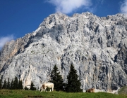 Ein Tag beim Hüttenteam auf der Hochfeldern Alm