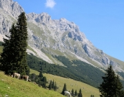 Ein Tag beim Hüttenteam auf der Hochfeldern Alm