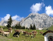 Ein Tag beim Hüttenteam auf der Hochfeldern Alm