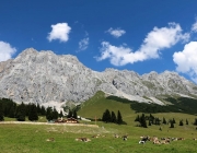 Ein Tag beim Hüttenteam auf der Hochfeldern Alm