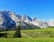 Hochfeldernalm 2013 – Vieh-Auftrieb ins Felderer Tal