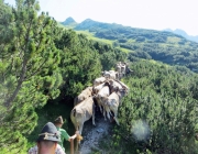 Hochfeldernalm 2013 – Vieh-Auftrieb ins Felderer Tal