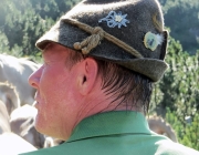 Hochfeldernalm 2013 – Vieh-Auftrieb ins Felderer Tal