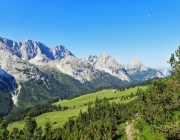 Hochfeldernalm 2013 – Vieh-Auftrieb ins Felderer Tal