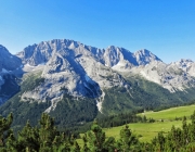 Hochfeldernalm 2013 – Vieh-Auftrieb ins Felderer Tal