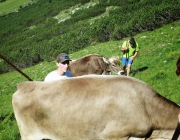 Hochfeldernalm 2013 – Vieh-Auftrieb ins Felderer Tal