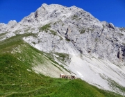 Hochfeldernalm 2013 – Vieh-Auftrieb ins Felderer Tal