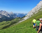 Hochfeldernalm 2013 – Vieh-Auftrieb ins Felderer Tal