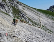 Hochfeldernalm 2013 – Vieh-Auftrieb ins Felderer Tal