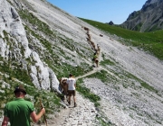 Hochfeldernalm 2013 – Vieh-Auftrieb ins Felderer Tal