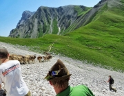 Hochfeldernalm 2013 – Vieh-Auftrieb ins Felderer Tal