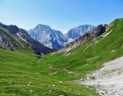 Hochfeldernalm 2013 – Vieh-Auftrieb ins Felderer Tal