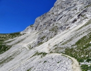 Hochfeldernalm 2013 – Vieh-Auftrieb ins Felderer Tal