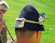 Hochfeldernalm 2013 – Vieh-Auftrieb ins Felderer Tal