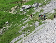 Hochfeldernalm 2013 – Vieh-Auftrieb ins Felderer Tal