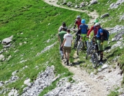 Hochfeldernalm 2013 – Vieh-Auftrieb ins Felderer Tal
