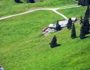 Hochfeldernalm 2013 – Vieh-Auftrieb ins Felderer Tal