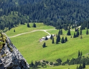 Hochfeldernalm 2013 – Vieh-Auftrieb ins Felderer Tal