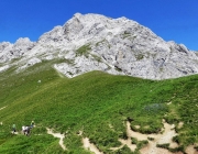 Hochfeldernalm 2013 – Vieh-Auftrieb ins Felderer Tal