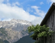 Frühsommer am Mieminger Berg – „Verneige Dich vor dem Holunderbaum“