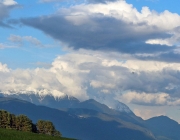 Frühsommer am Mieminger Berg – „Verneige Dich vor dem Holunderbaum“