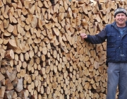 Holzheizer sparen Geld – „Holzlegger“ in Mieming sind ihrer Zeit voraus