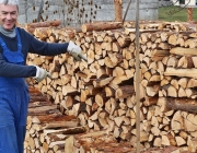 Holzheizer sparen Geld – „Holzlegger“ in Mieming sind ihrer Zeit voraus