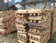 Holzheizer sparen Geld – „Holzlegger“ in Mieming sind ihrer Zeit voraus